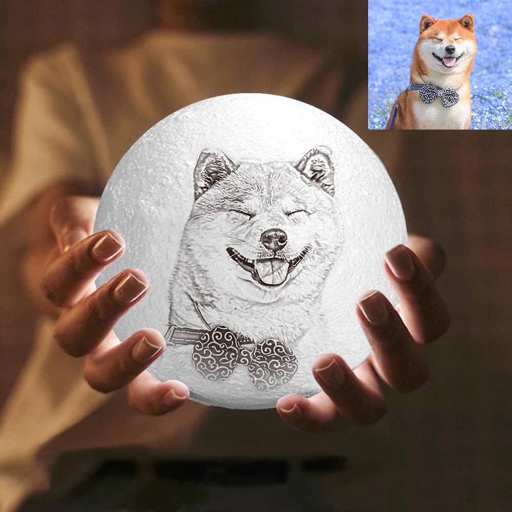 Remote Control Photo Moon Lamp Custom 3D Photo Light For Cute Pet