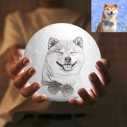 Remote Control Photo Moon Lamp Custom 3D Photo Light For Cute Pet