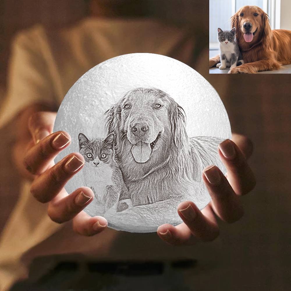 Remote Control Photo Moon Lamp Custom 3D Photo Light For Cute Pet
