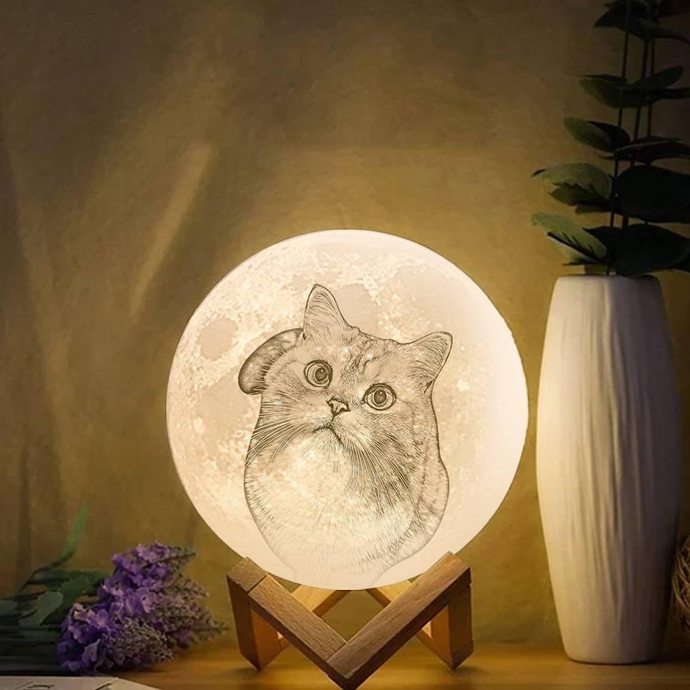 Remote Control Photo Moon Lamp Custom 3D Photo Light For Cute Pet