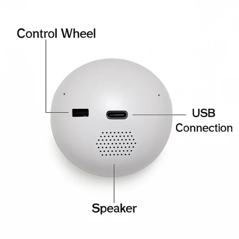 Glass Video Globe – Playable Video Gift Sphere Gift for Valentine’s Day or Christmas