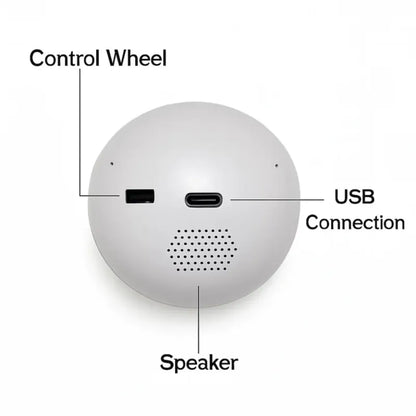 Glass Video Globe – Playable Video Gift Sphere Gift for Valentine’s Day or Christmas